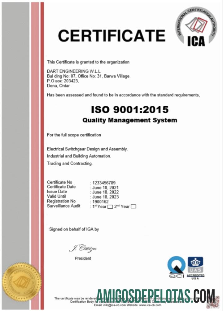Certificado de registro ICA dos EUA em branco modelo Word e PDF